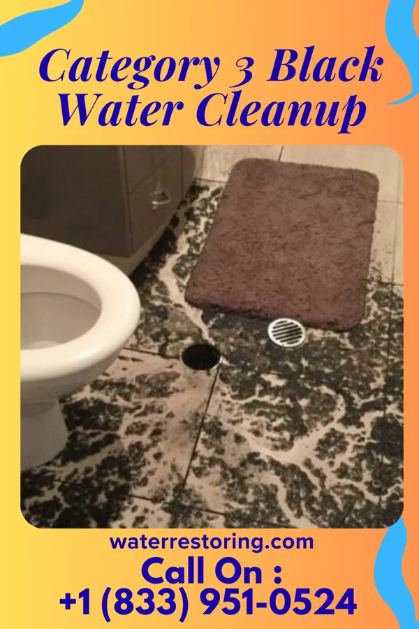 Category 3 Black Water Cleanup in Dunlap, IA
