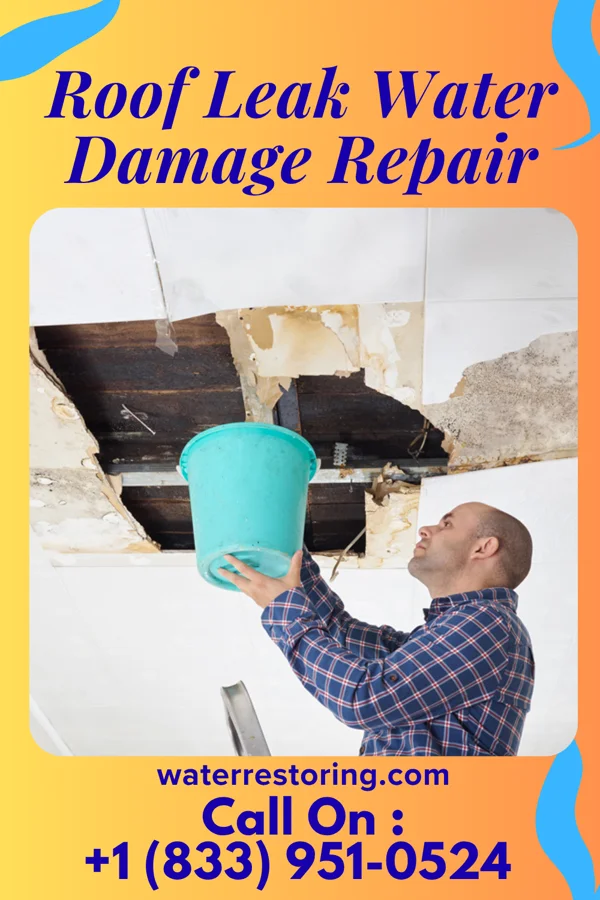 Roof Leak Water Damage Repair in Dunlap, IA